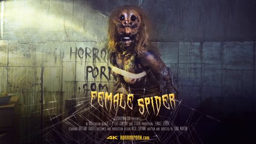 female-spider